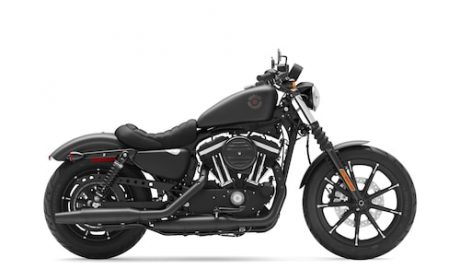 Harley-Davidson® Iron 883™ 2021